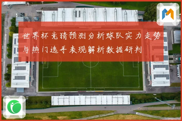 世界杯竞猜预测分析球队实力走势与热门选手表现解析数据研判