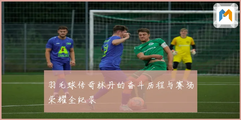 羽毛球传奇林丹的奋斗历程与赛场荣耀全纪录