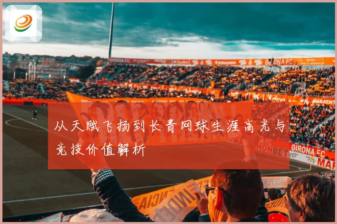 从天赋飞扬到长青网球生涯高光与竞技价值解析