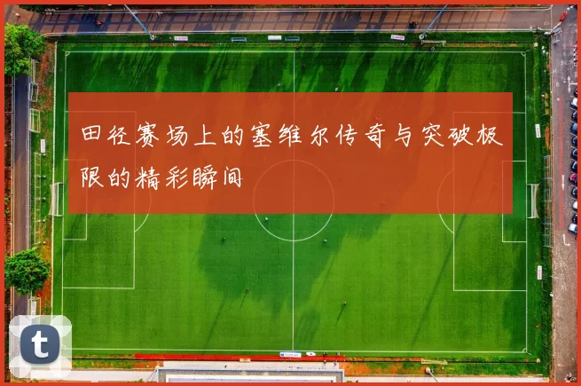 田径赛场上的塞维尔传奇与突破极限的精彩瞬间